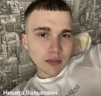 Логотип: +375255094529