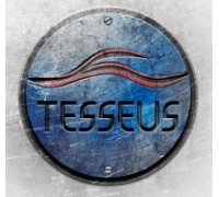 Логотип: Tesseus веб-студия