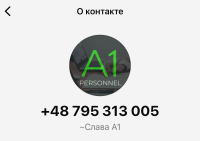 Логотип: A1 Personnel Employment Agency LtD.