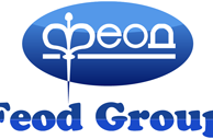 Логотип: Feod Group Феод Групп