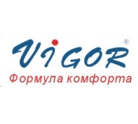 Логотип: Бытовая техника Vigor