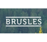 Логотип: BrusLes