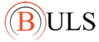 Логотип: Buls buls.ru
