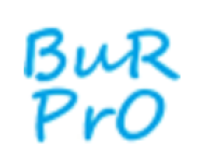 Логотип: Burpro
