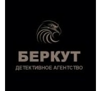 Логотип: Детективное агентство Беркут