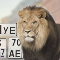 Логотип: gosnomerok24.ru Gold_Lev24