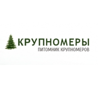 Логотип: Крупномеры