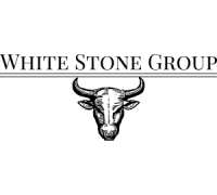 Логотип: Лидер рынка форекс White Stone Group inc (wsgroup.org)