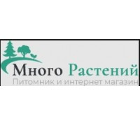 Логотип: Питомник Много Растений