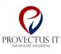 Логотип: Provectus IT