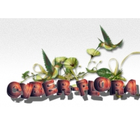 Логотип: Служба доставки цветов Cyber-flora