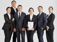 Логотип: Vyshnevyi & Partners, Вишневий і Партнери